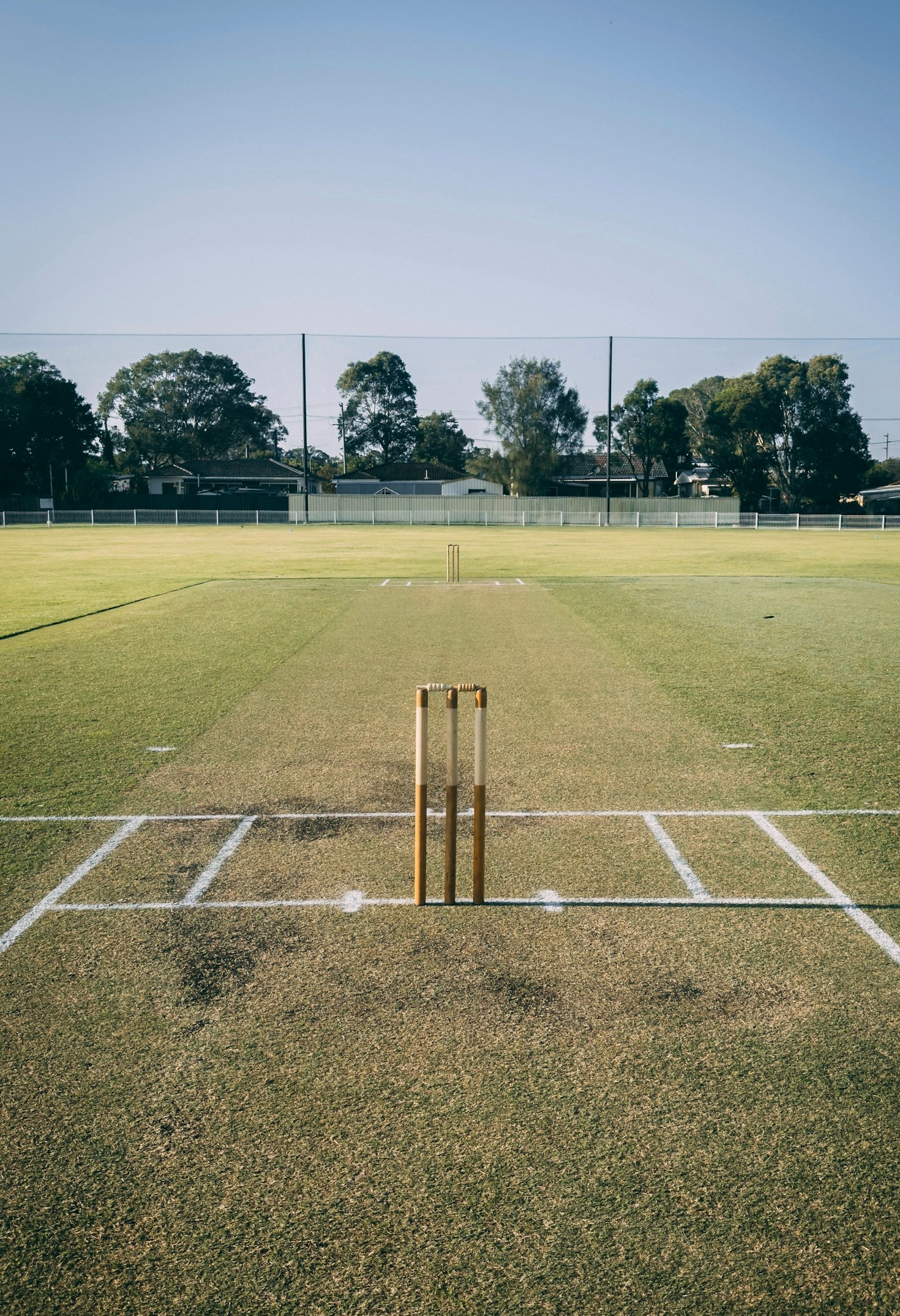 A Beginner’s Guide to Online Cricket Betting